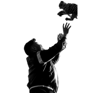 A Playful Moment Of A Man Throwing A Kitten In The Air Captured In Black And White. 19424 - Cat PNG image with transparent background